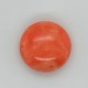 Coral (Moonga) 4.93 Ct Certified Coral (Moonga) 4.93 Ct Certified